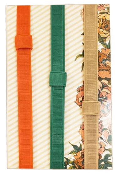3 Pack Elastic Band and Pen Holder - Autumn