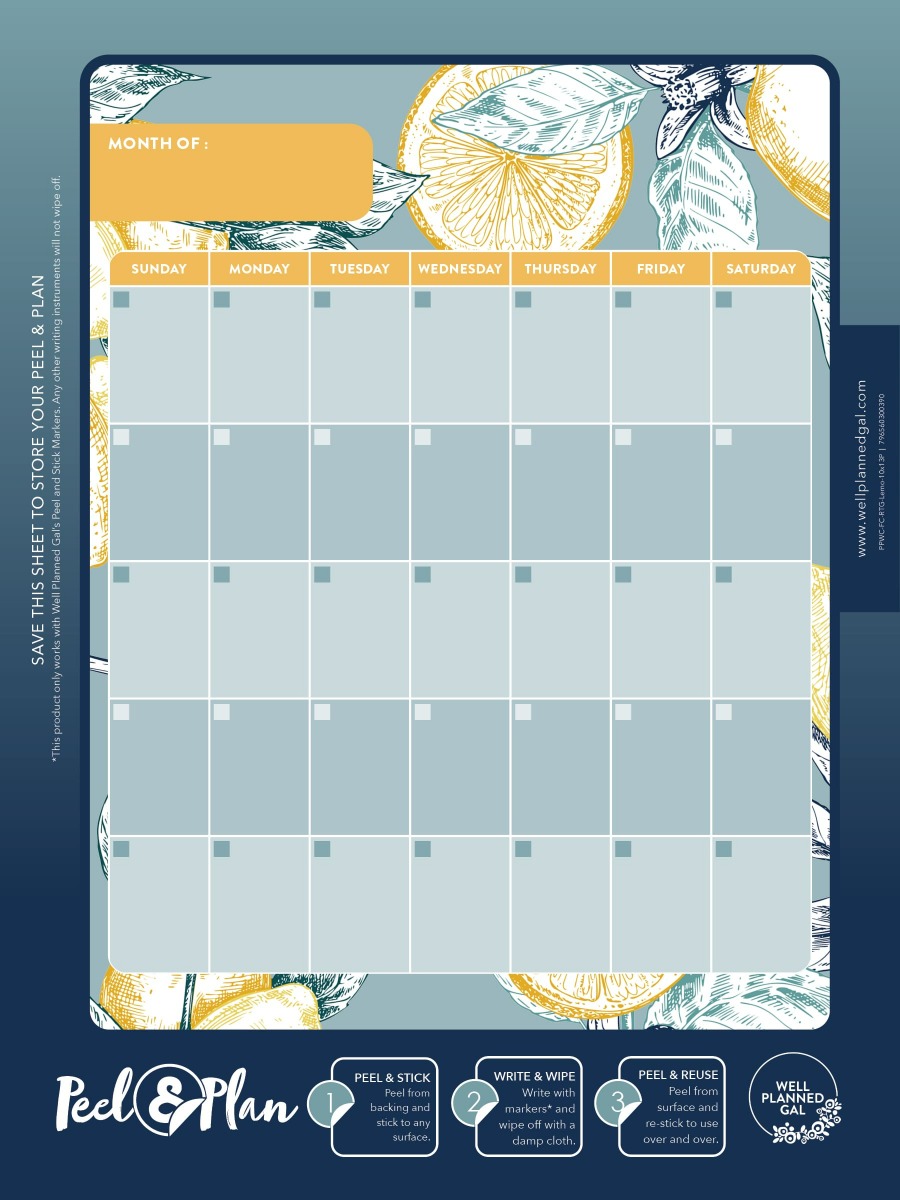 Ready to Go Wall Calendar, Family, Lemon, 10x13P