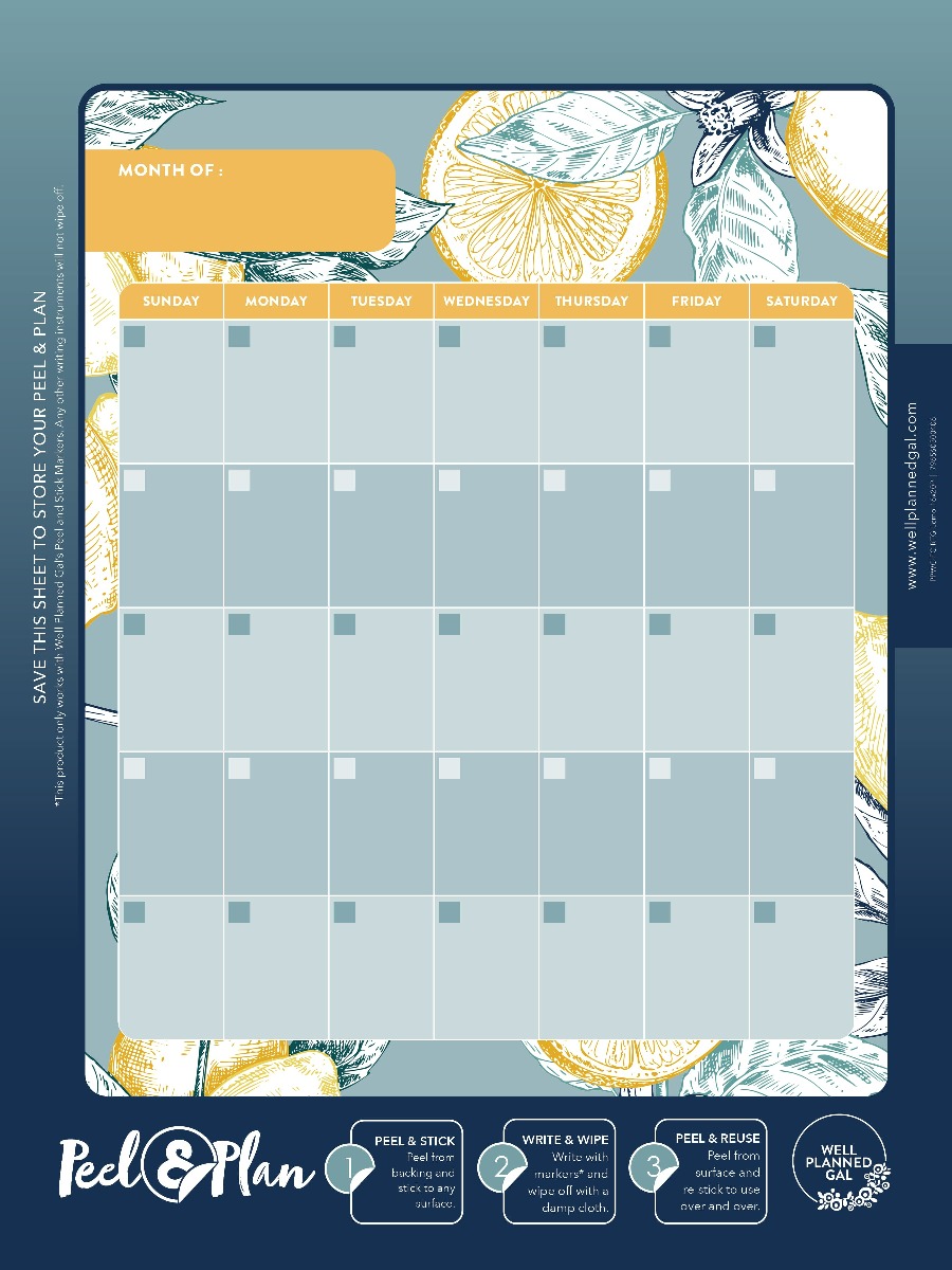 Ready to Go Wall Calendar, Family, Lemon,16x20P