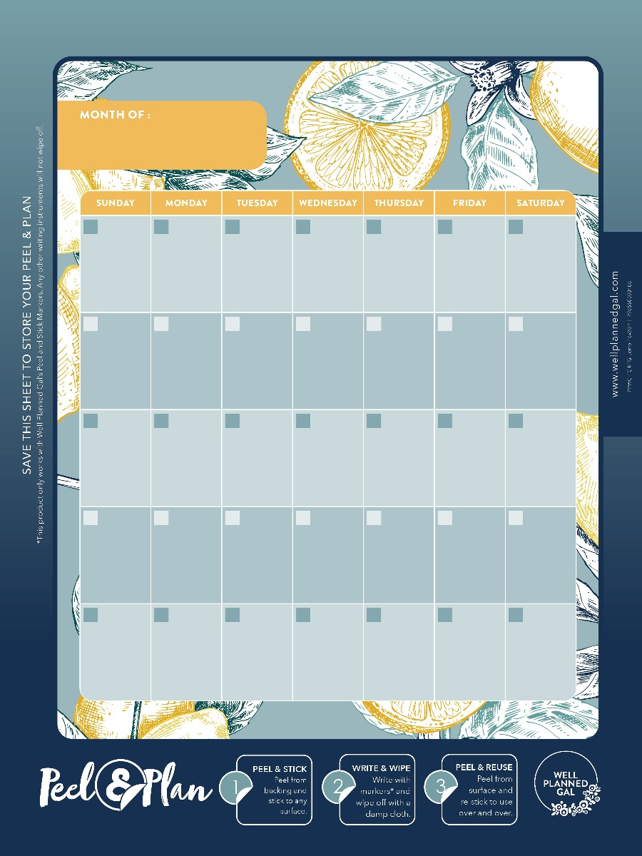 Ready to Go Wall Calendar with Markers, Family, Lemon, 16x20P