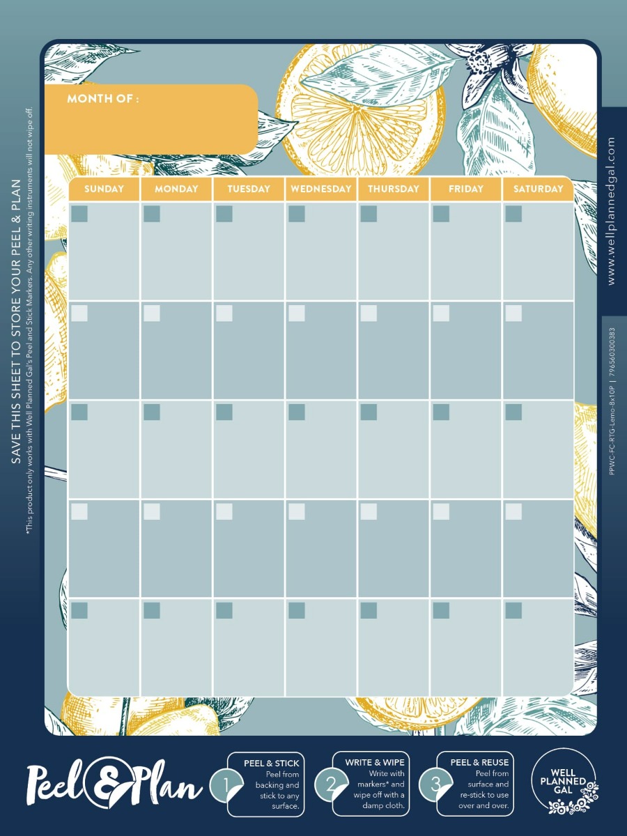 Ready to Go Wall Calendar with Markers, Family, Lemon, 8x10P