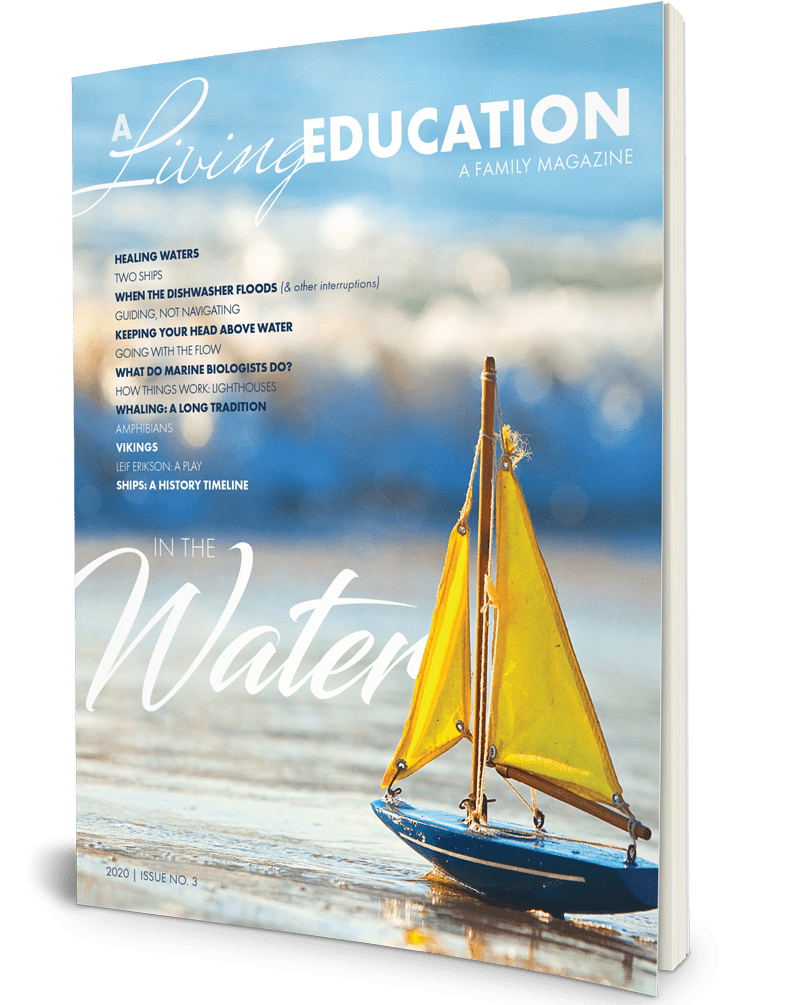2020 Issue 3: Family - A Living Education